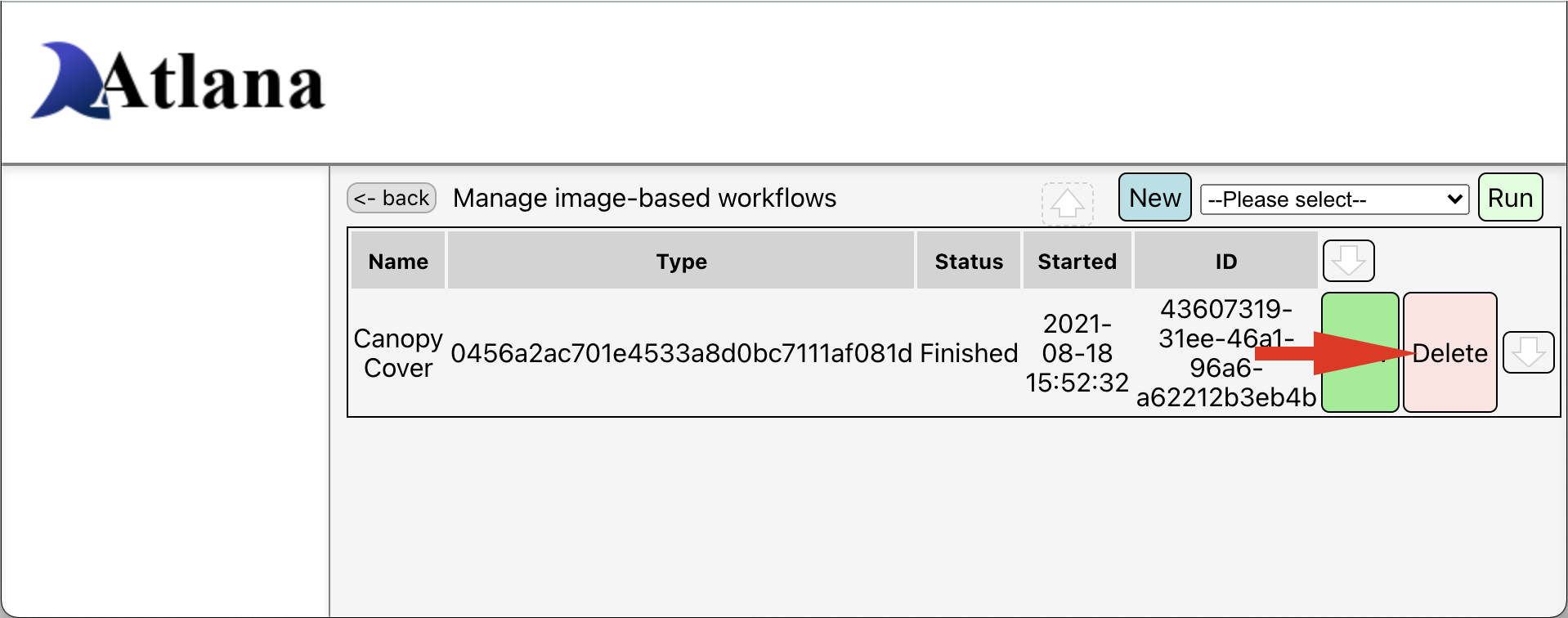 Delete workflow run